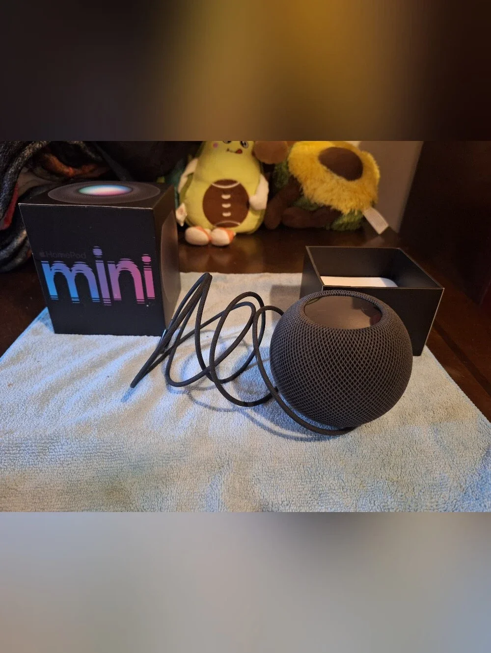 Home Pod Mini